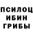Галлюциногенные грибы ЛСД Streetkiller 503