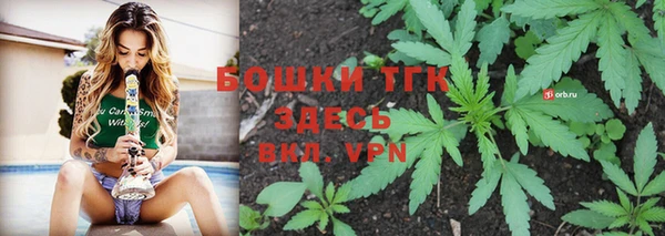 винт Аркадак