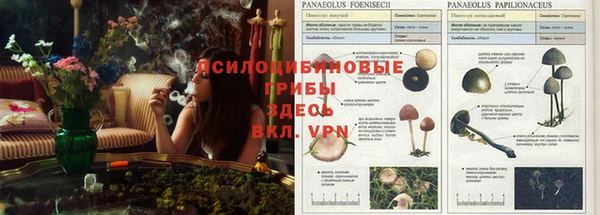 кокаин VHQ Арсеньев